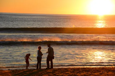 DSC_1279 (Large).JPG